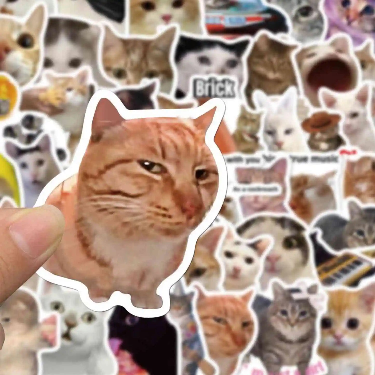 Caffeinated Coping – 50 Popular Cat Meme Stickers