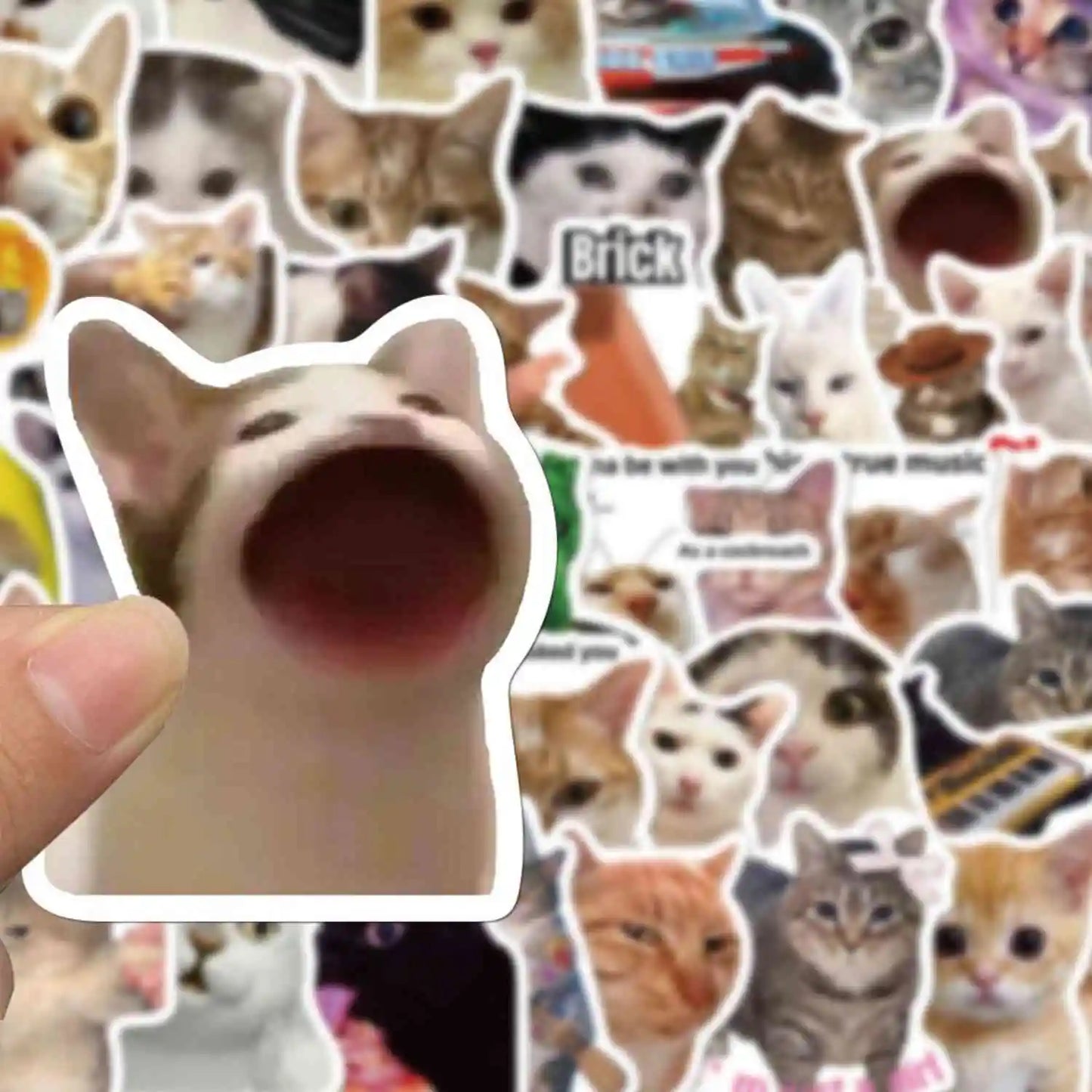 Caffeinated Coping – 50 Popular Cat Meme Stickers