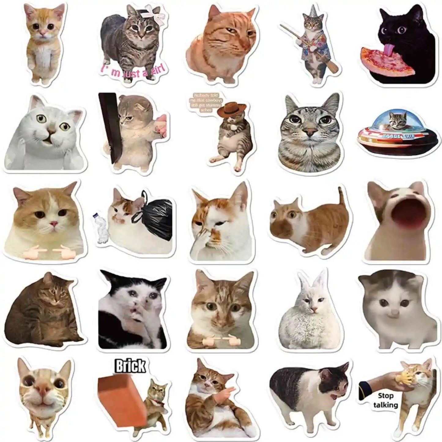 Caffeinated Coping – 50 Popular Cat Meme Stickers