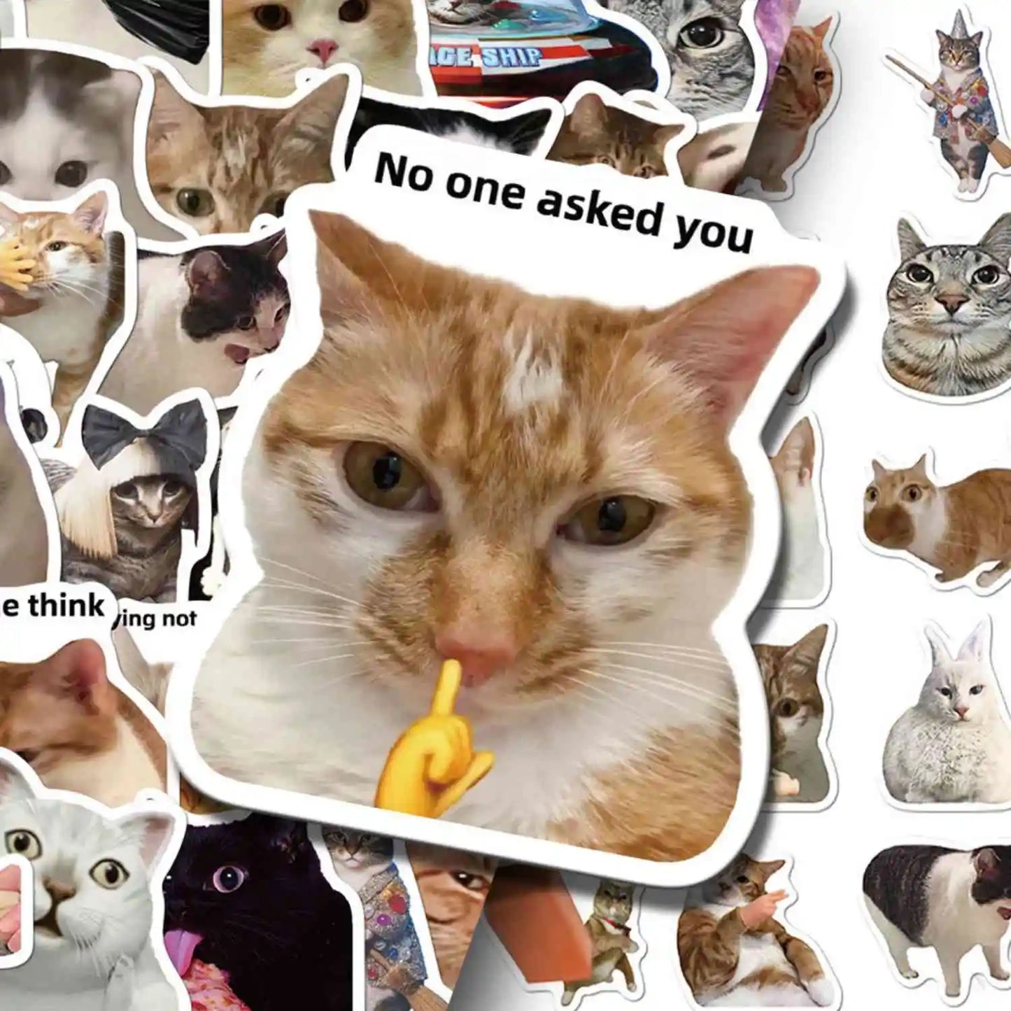 Caffeinated Coping – 50 Popular Cat Meme Stickers