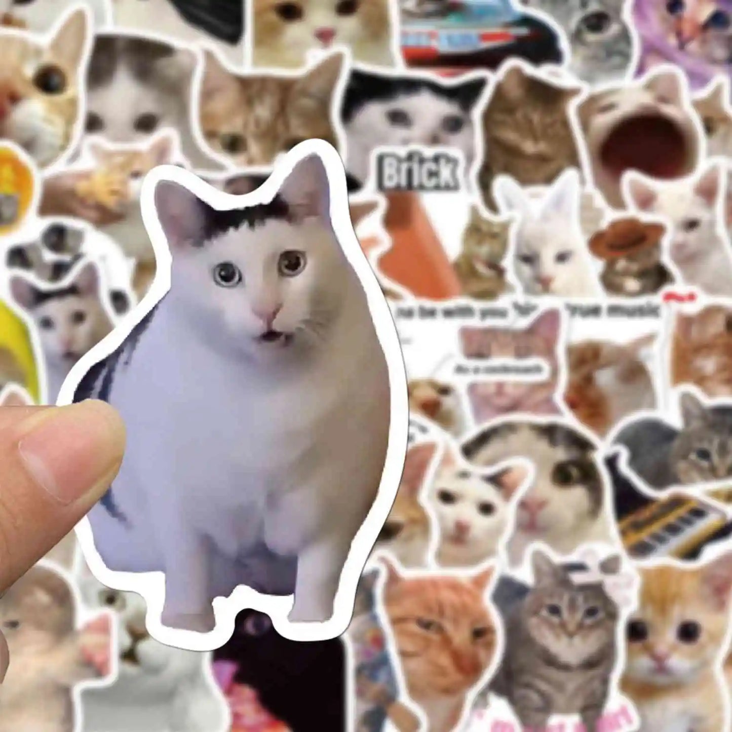 Caffeinated Coping – 50 Popular Cat Meme Stickers