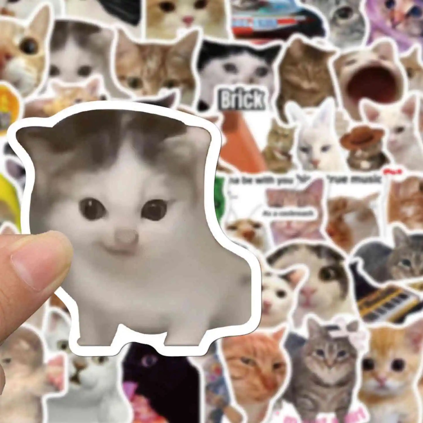 Caffeinated Coping – 50 Popular Cat Meme Stickers