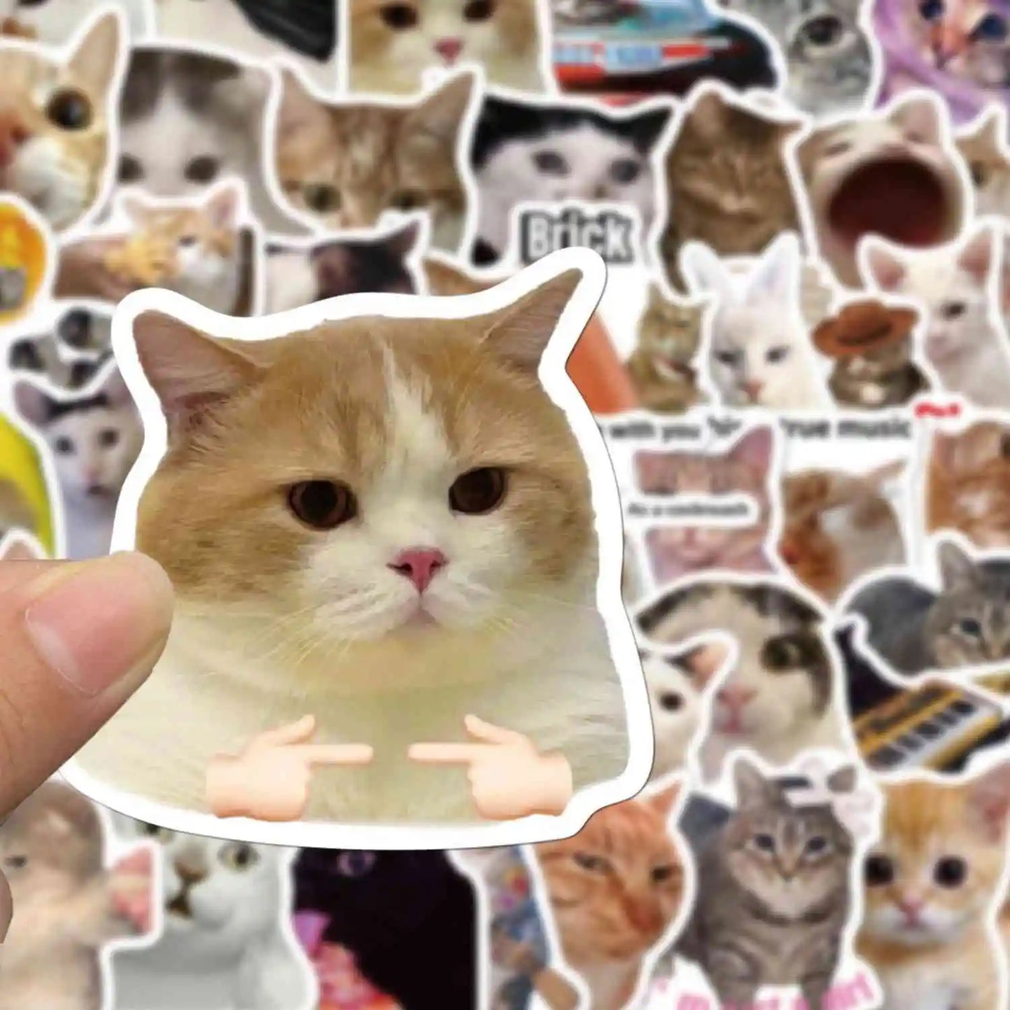 Caffeinated Coping – 50 Popular Cat Meme Stickers