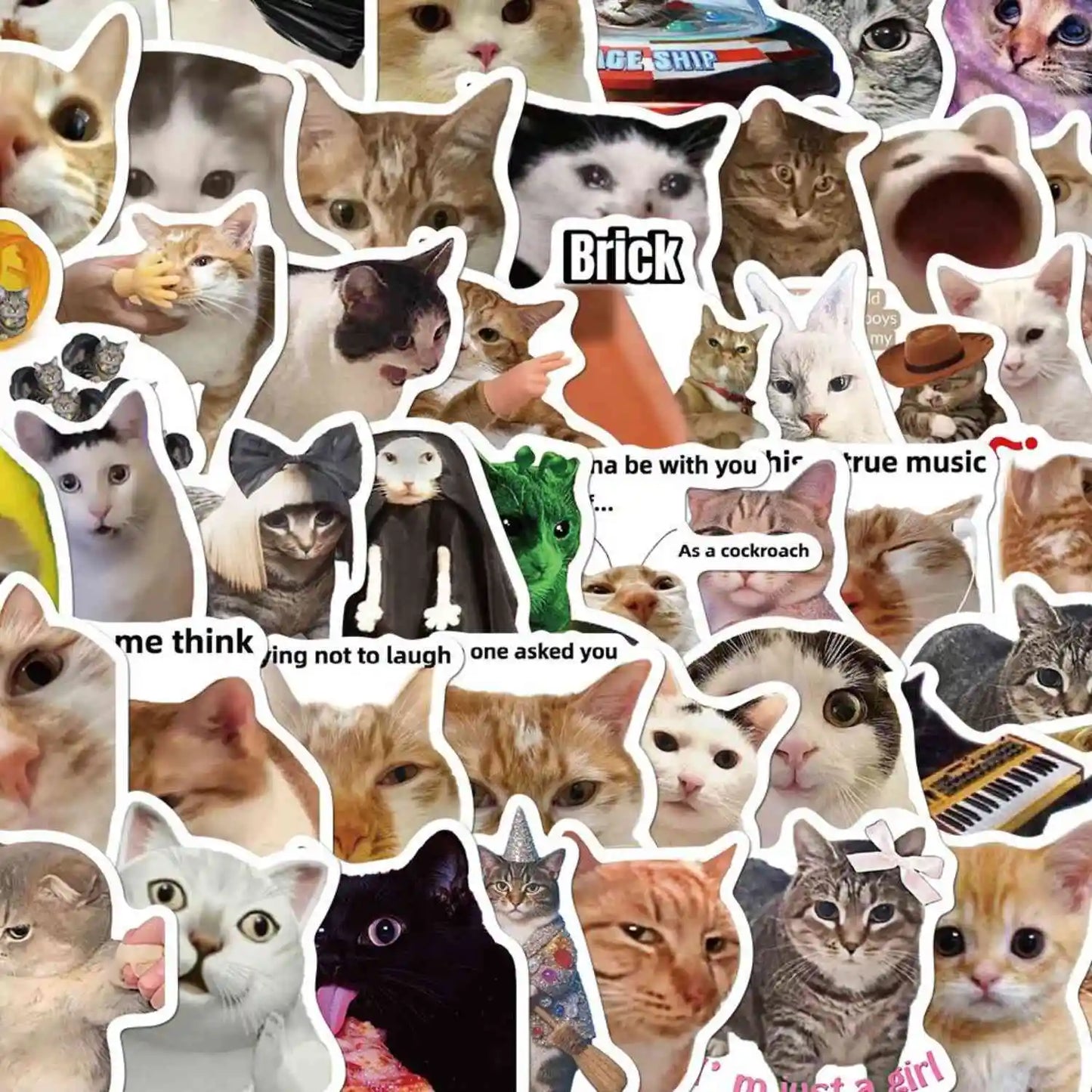 Caffeinated Coping – 50 Popular Cat Meme Stickers